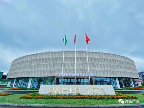 天府粮仓连山镇 建筑装饰业的匠心与传承